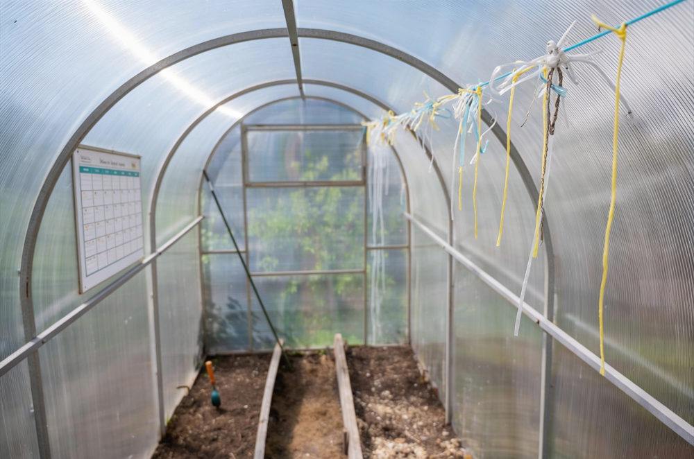 calendrier de culture pour serre de jardin