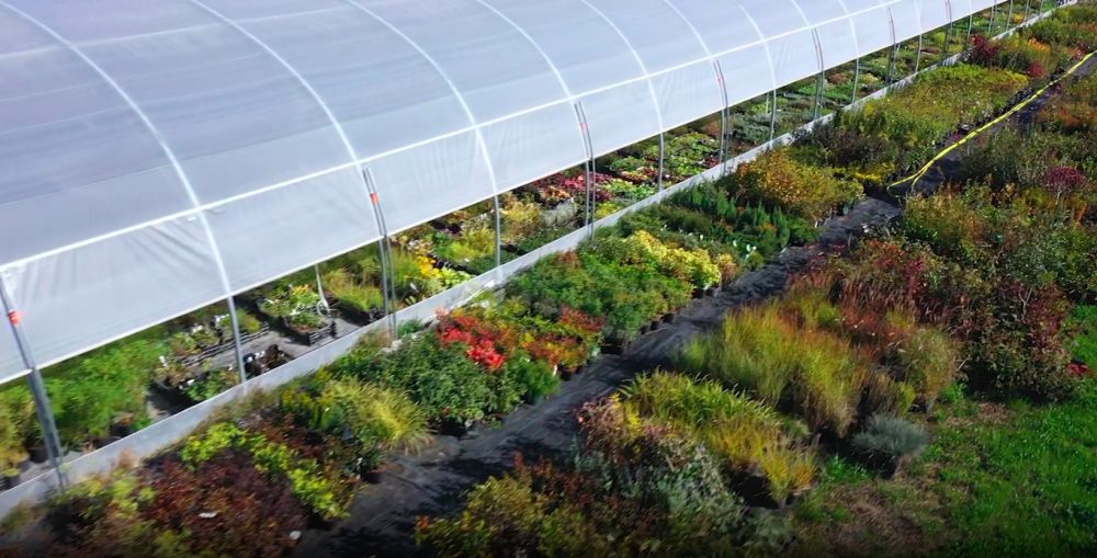 Vue aérienne de notre serre principale