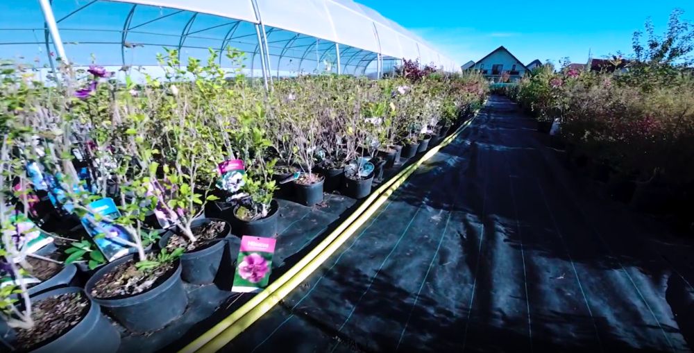 Vue de la serre principale de la jardinerie Plantes Shopping