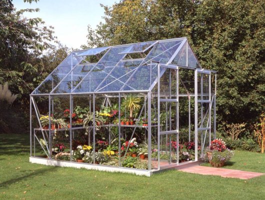 Serre de jardin HALLS Magnum 8,20 m2 + verre horticole 3 mm - Profilé aluminium / verre horticole 3 mm