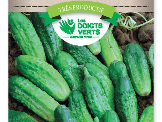 CORNICHON Vert Petit de Paris. - FRAIS DE PORT OFFERT Graines potagères