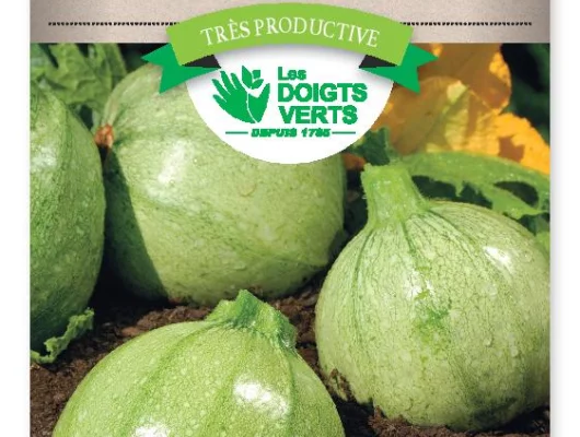 COURGETTE ronde de Nice - FRAIS DE PORT OFFERT Graines potagères