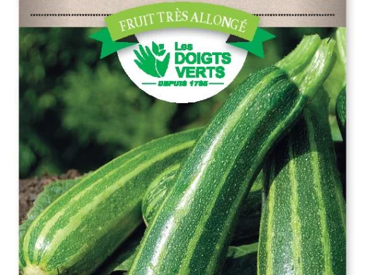 COURGETTE Verte non coureuse d'Italie - FRAIS DE PORT OFFERT Graines potagères