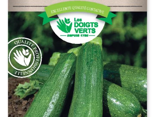 COURGETTE Diamant Hyb. F1 - FRAIS DE PORT OFFERTGraines potagères