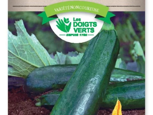 COURGETTE Black Beauty - FRAIS DE PORT OFFERT Graines potagères