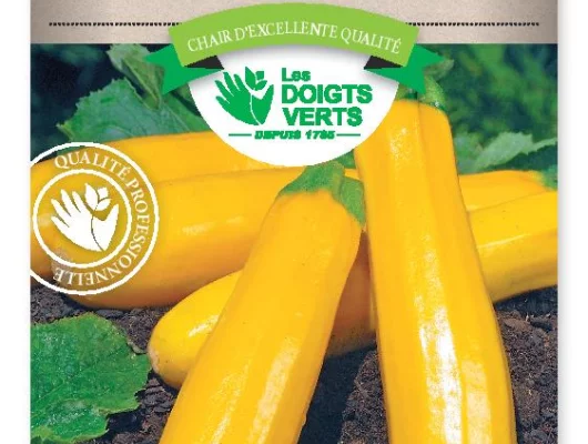 COURGETTE Gold Rush Hyb. F1 - FRAIS DE PORT OFFERT Graines potagères