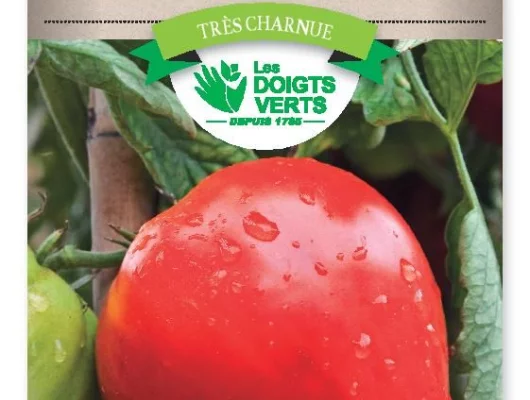 TOMATE Coeur de Boeuf - FRAIS DE PORT OFFERT Graines potagères