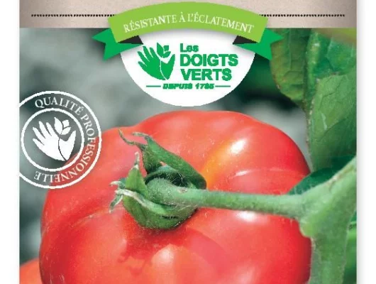 TOMATE Montfavet 63/5 Hyb. F1 - Graines potagères