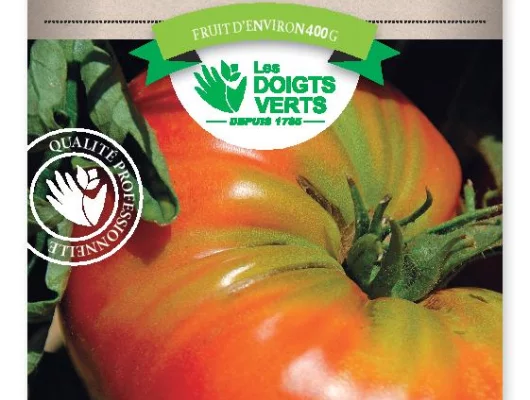 TOMATE Supersteack Hyb. F1 - Graines potagères