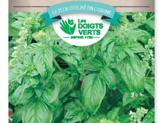 BASILIC Grand vert - FRAIS DE PORT OFFERT Graines potagères