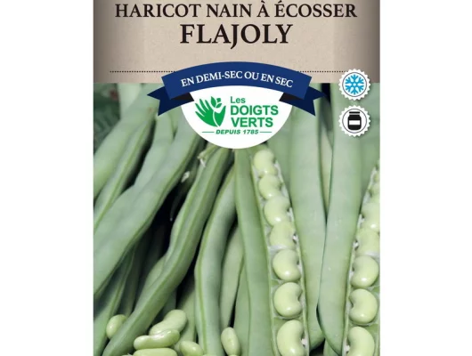 HARICOT NAIN Flajoly / 250 g - Graines de Haricots / 250 grammes