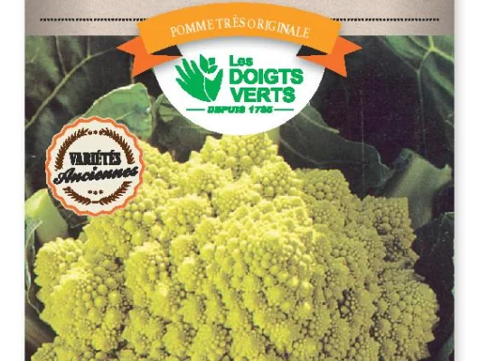 CHOU BROCOLI Romanesco r.campidoglio - FRAIS DE PORT OFFERT Graines potagères