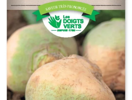 CHOU-NAVET Rutabaga a collet vert - FRAIS DE PORT OFFERT Graines potagères