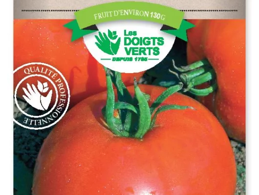 TOMATE Fandango hybride F1 - Graines potagères