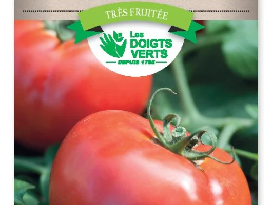 TOMATE Merveille des marches - Graines potagères