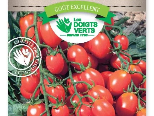 TOMATE Apéro Hyb. F1 - FRAIS DE PORT OFFERT Graines potagères