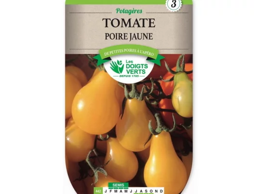 TOMATE Poire Jaune Yellow Pearsh - Graines potagères