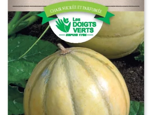 MELON Charentais - FRAIS DE PORT OFFERT Graines potagères