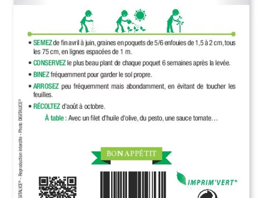 COURGETTE Végétale Spaghetti - FRAIS DE PORT OFFERT Graines potagères