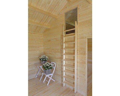 Abri de jardin Caroline SET 2.2 / 21.66 m2 / 40 mm + plancher bois - Cuisine d'été / Pool House / Espace de Rangement / Studio de jardin