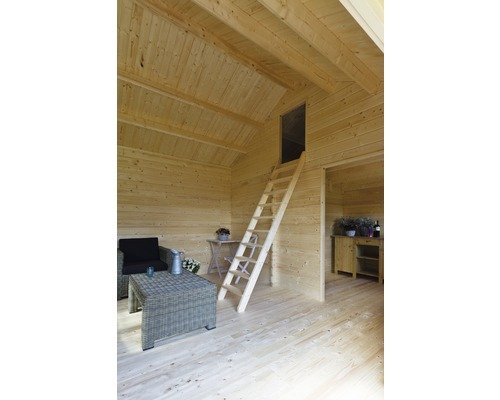 Abri de jardin Caroline SET 2.3 / 21.66 m2 / 40 mm + plancher bois - Cuisine d'été / Pool House / Espace de Rangement / Studio de jardin
