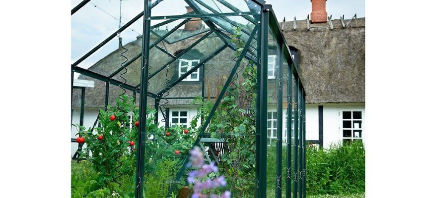 Serre de jardin HALLS Popular 3,80 m2 verte + verre horticole 3 mm - aluminium vert  / verre horticole 3 mm