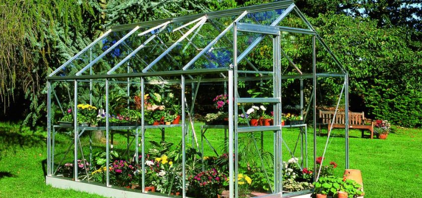 Serre de jardin HALLS Popular 6,20 m2 + verre horticole 3 mm - Profilé aluminium / verre horticole 3 mm
