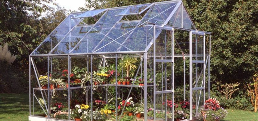 Serre de jardin HALLS Magnum 8,20 m2 + verre trempé - aluminium / verre trempé 3 mm