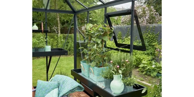 Serre de jardin JULIANA Oase anthracite 13.5 m² + verre trempé - aluminium anthracite / verre trempé 3 mm