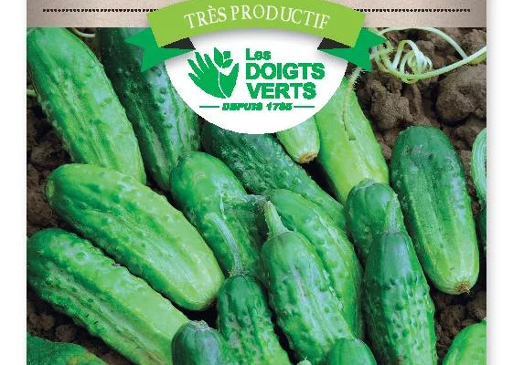 CORNICHON Vert Petit de Paris. - FRAIS DE PORT OFFERT Graines potagères