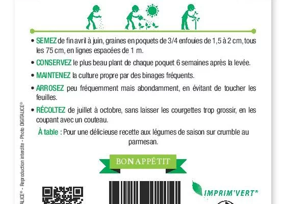 COURGETTE ronde de Nice - FRAIS DE PORT OFFERT Graines potagères