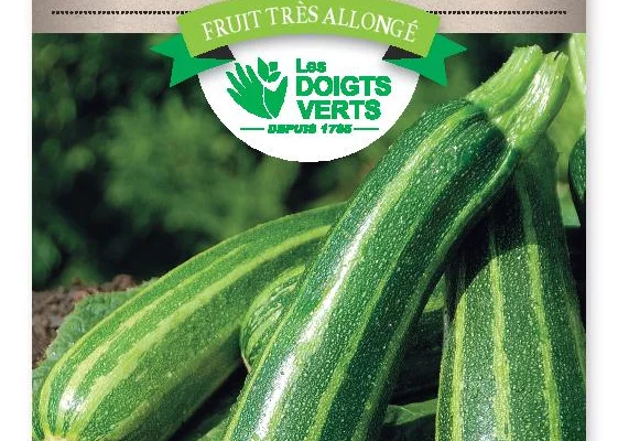 COURGETTE Verte non coureuse d'Italie - FRAIS DE PORT OFFERT Graines potagères