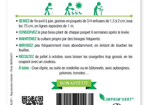 COURGETTE Verte non coureuse d'Italie - FRAIS DE PORT OFFERT Graines potagères