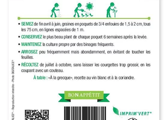 COURGETTE verte petite d'Alger - FRAIS DE PORT OFFERT Graines potagères