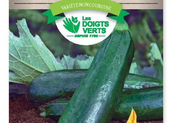 COURGETTE Black Beauty - FRAIS DE PORT OFFERT Graines potagères