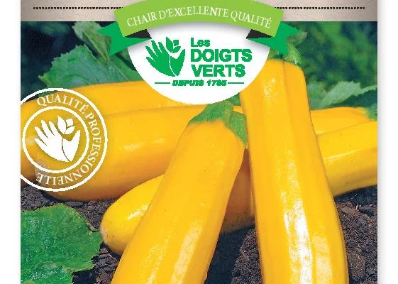 COURGETTE Gold Rush Hyb. F1 - FRAIS DE PORT OFFERT Graines potagères