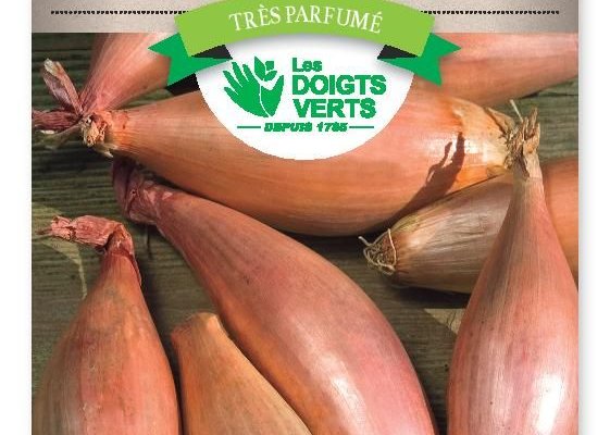 ECHALION Cuisse de Poulet Poitou - FRAIS DE PORT OFFERTGraines potagères