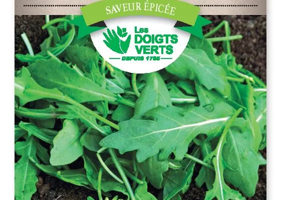 ROQUETTE cultivée - FRAIS DE PORT OFFERT Graines potagères