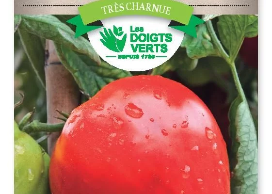 TOMATE Coeur de Boeuf - FRAIS DE PORT OFFERT Graines potagères