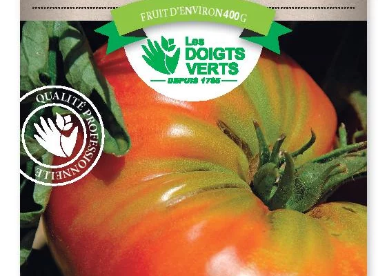 TOMATE Supersteack Hyb. F1 - Graines potagères