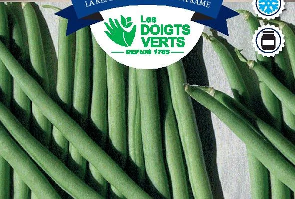 HARICOT RAME Vesperal / 100 g - Graines de Haricots / 100 grammes