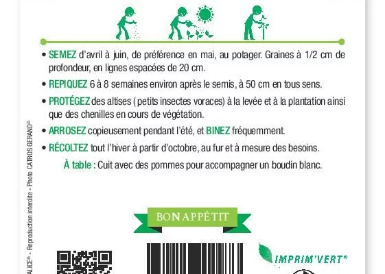 CHOU MILAN de Pontoise 3 - FRAIS DE PORT OFFERT Graines potagères