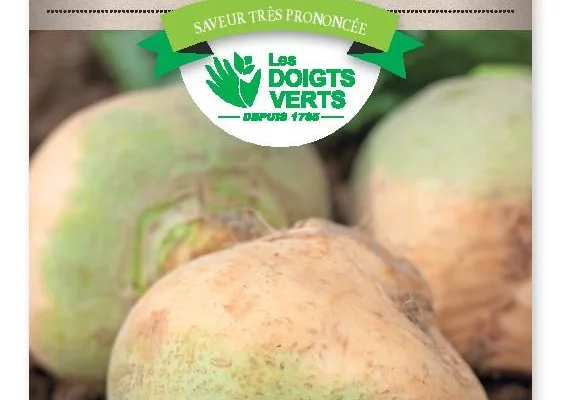 CHOU-NAVET Rutabaga a collet vert - FRAIS DE PORT OFFERT Graines potagères