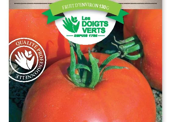 TOMATE Fandango hybride F1 - Graines potagères