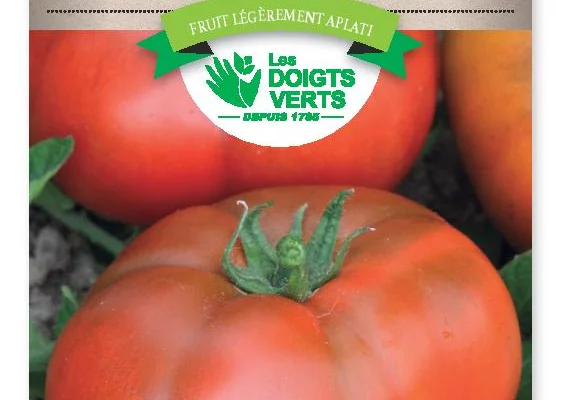 TOMATE de Marmande VR - FRAIS DE PORT OFFERT Graines potagères