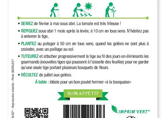 TOMATE de Marmande VR - FRAIS DE PORT OFFERT Graines potagères