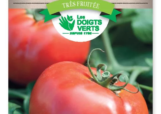 TOMATE Merveille des marches - Graines potagères