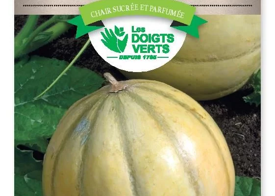 MELON Charentais - FRAIS DE PORT OFFERT Graines potagères