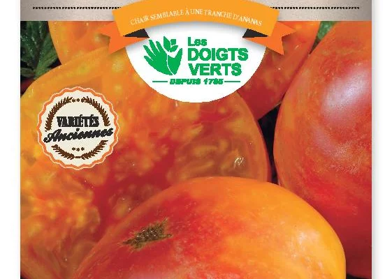 TOMATE Ananas - FRAIS DE PORT OFFERT Graines potagères