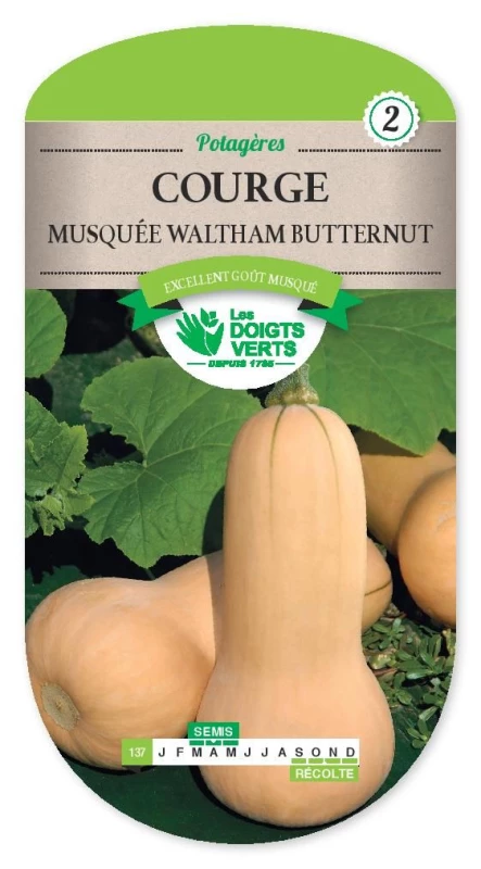 Graines de Courge Waltham Butternut biologique. 1 sachet pour 10 m².